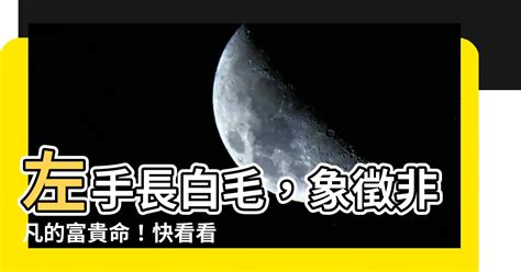 左手長白毛|【手上長白毛】揭秘手上長白毛的真相：吉兆還是凶兆？